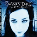 Evanescence - Bring Me To Life